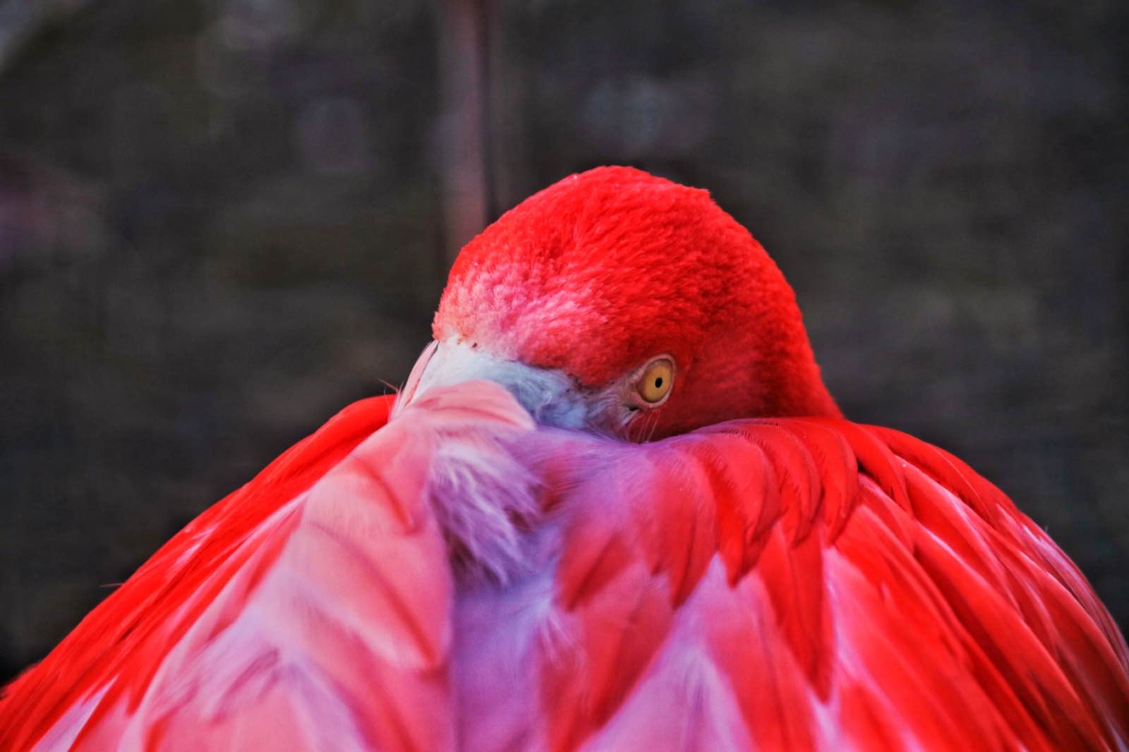 5C1E7CE0 283D 4821 8B68 0961D73437E0