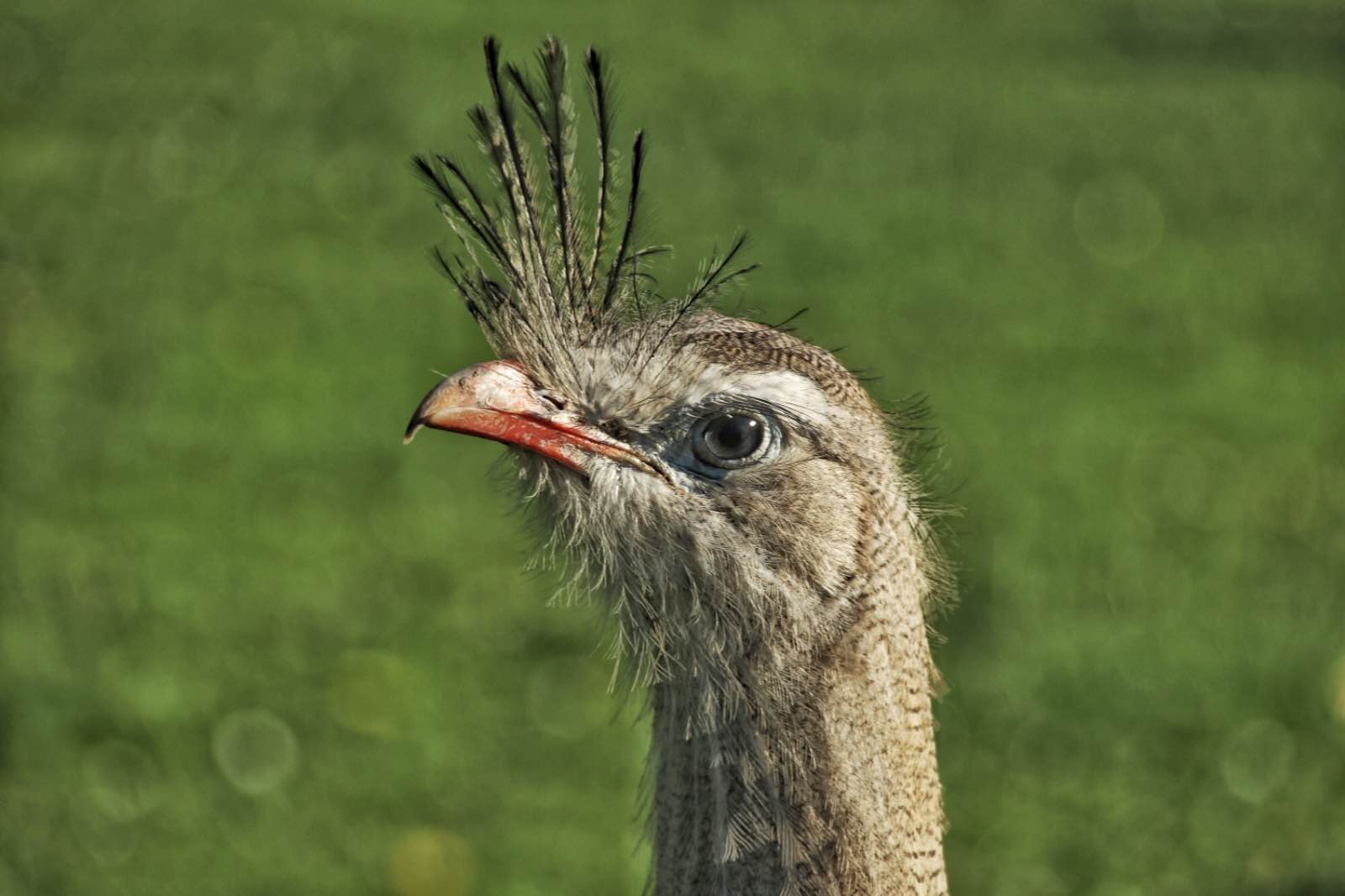 84A5C5C9 8C41 449D A6E1 A6BCE8887B1B