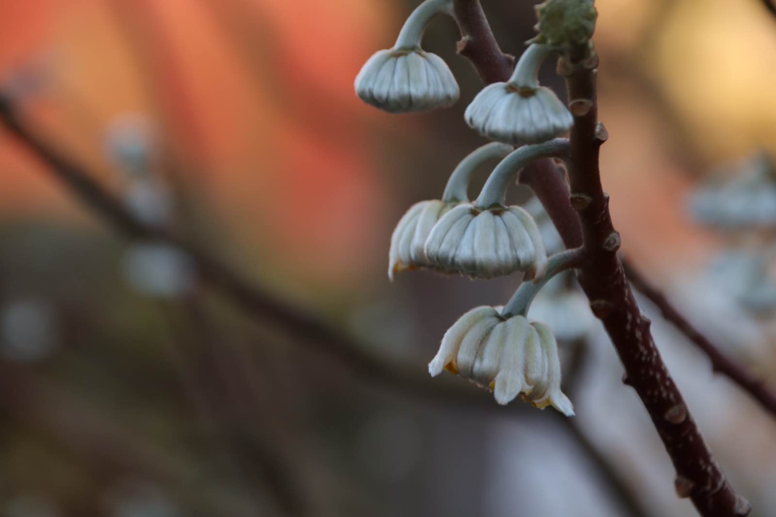 010219BA 65D2 4742 9CDF 4FC9E8110410