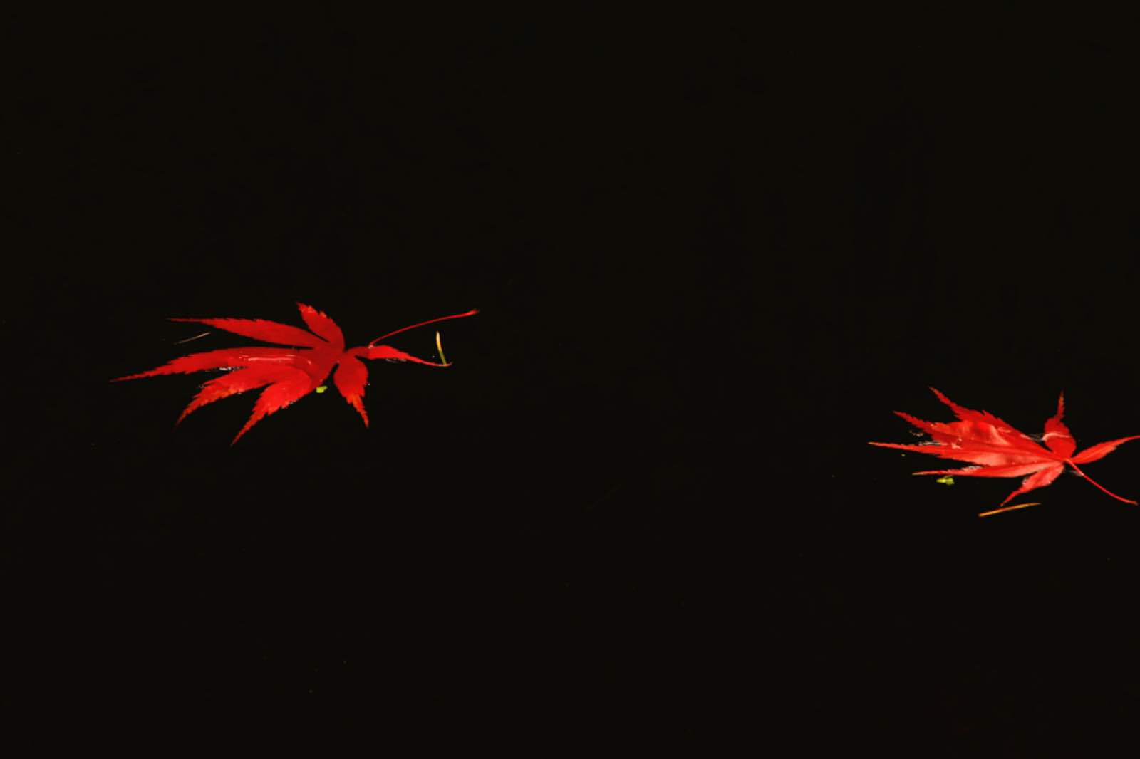 2976745B 47F8 437E AC4E 3C71E3D56E18