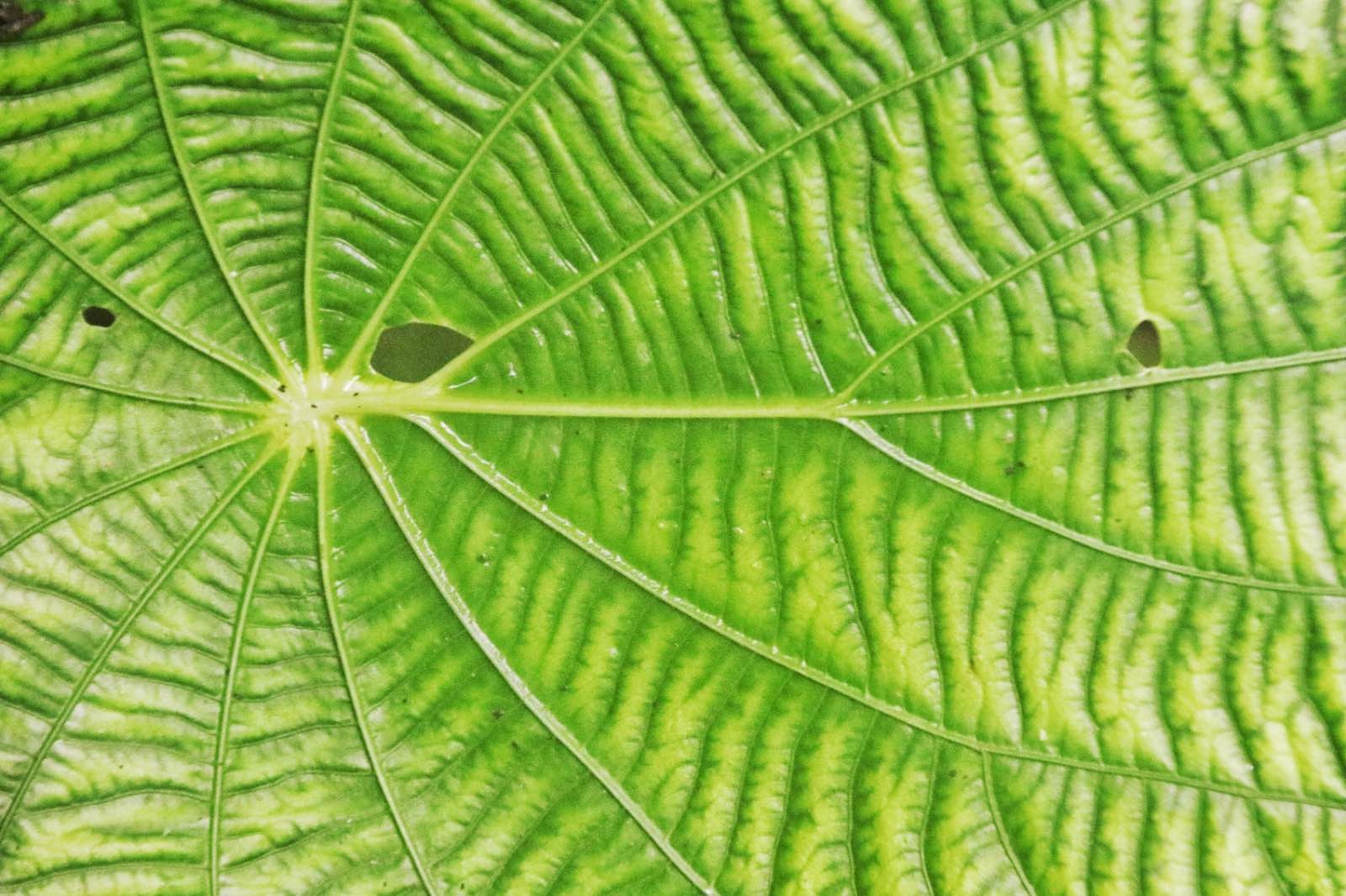 4AD5266C FE59 4301 9DC5 F326EE22C622