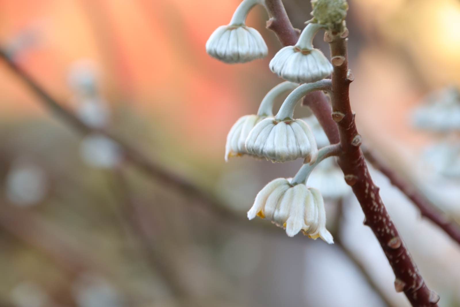 844E5344 519C 4A89 8691 E50245D5BA9A