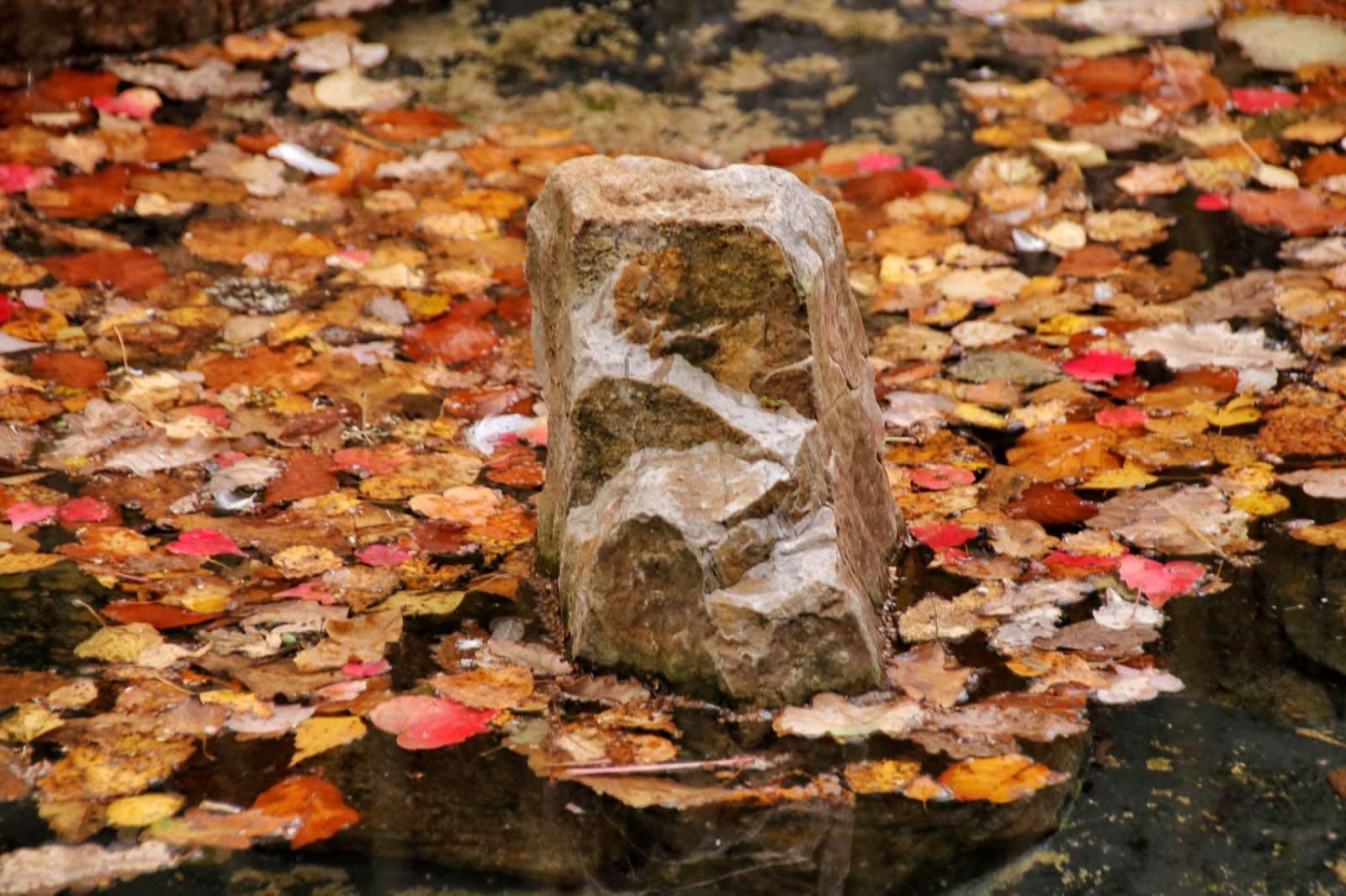 846F707B 81CD 418D ABAB A91C2C21D91C