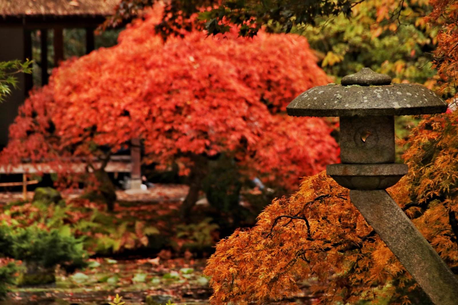 A3A082C9 4E1C 425A B9BB CB5B0386D272