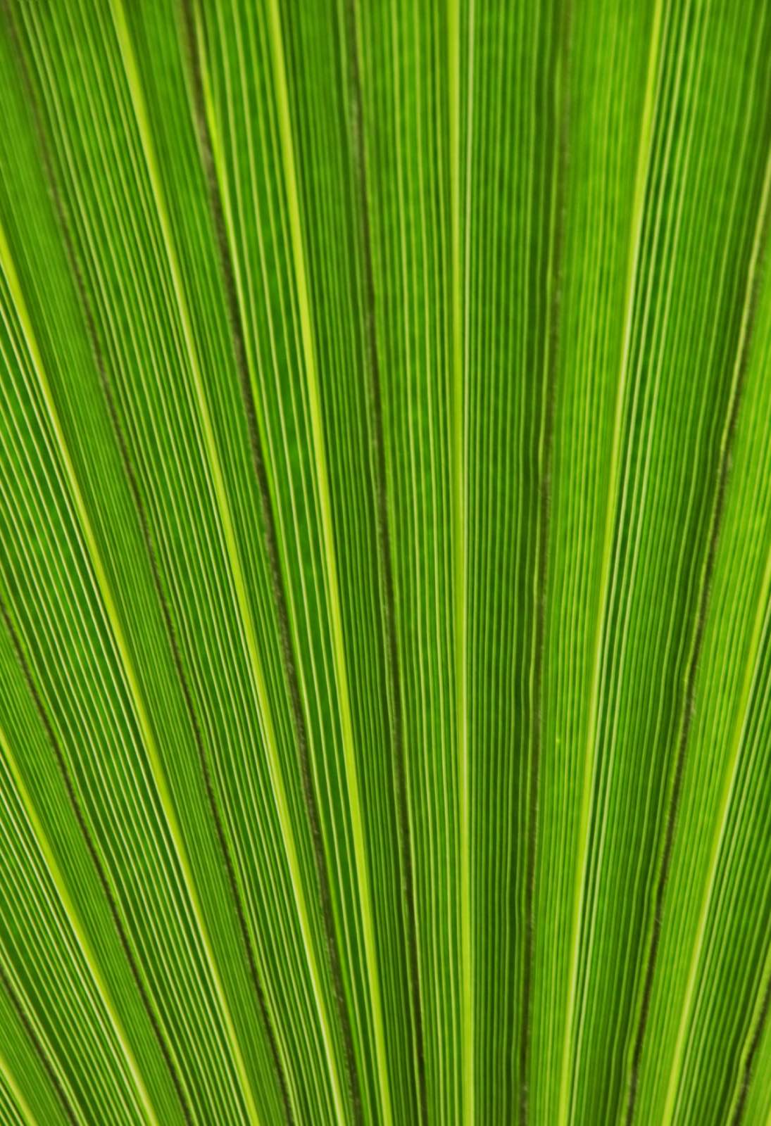 CFBC33A1 C4E6 450F B952 3BD37D5A763E