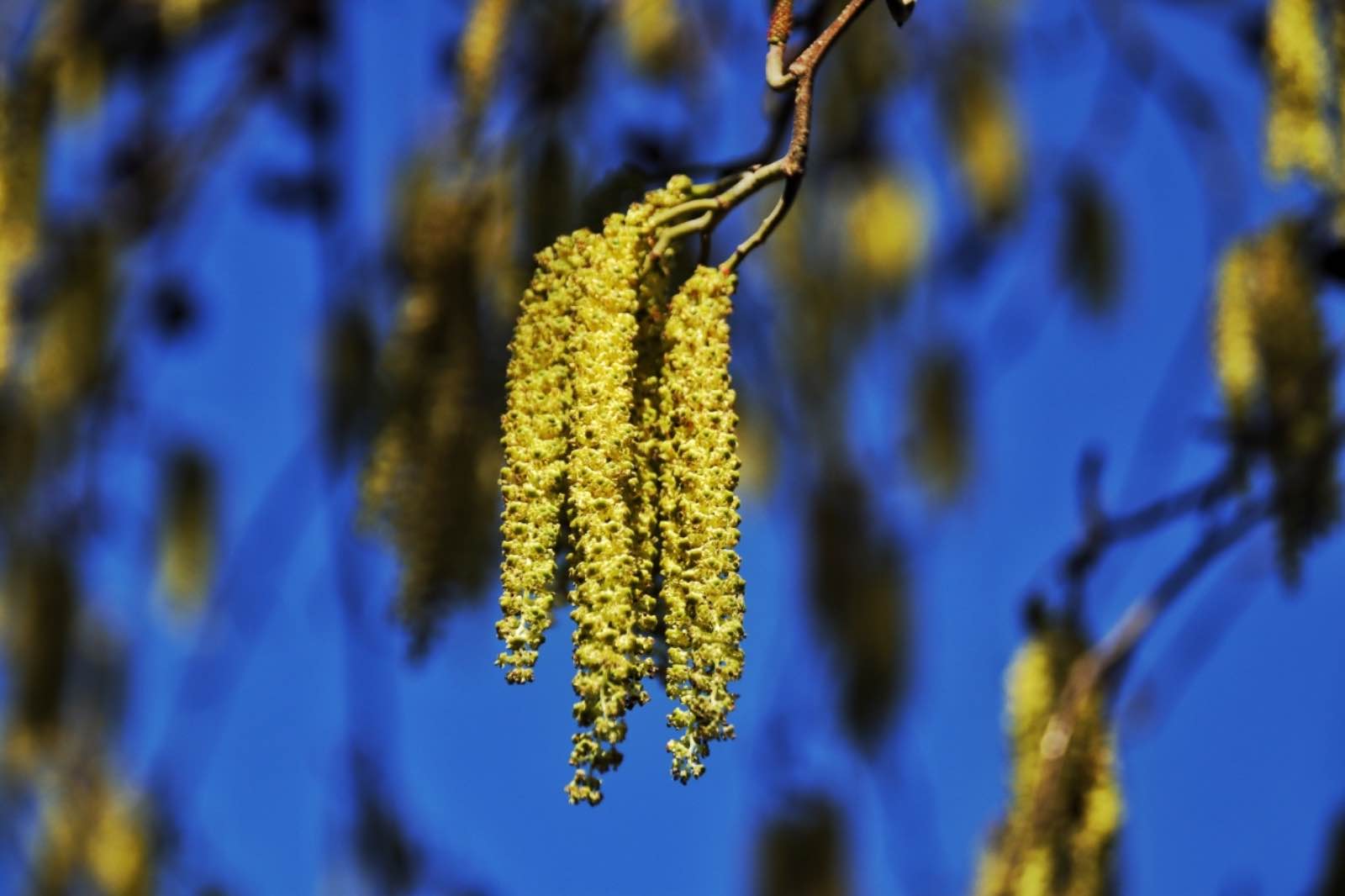 FA1331E0 5F6C 43E1 84C8 8AF41A8F3ADD