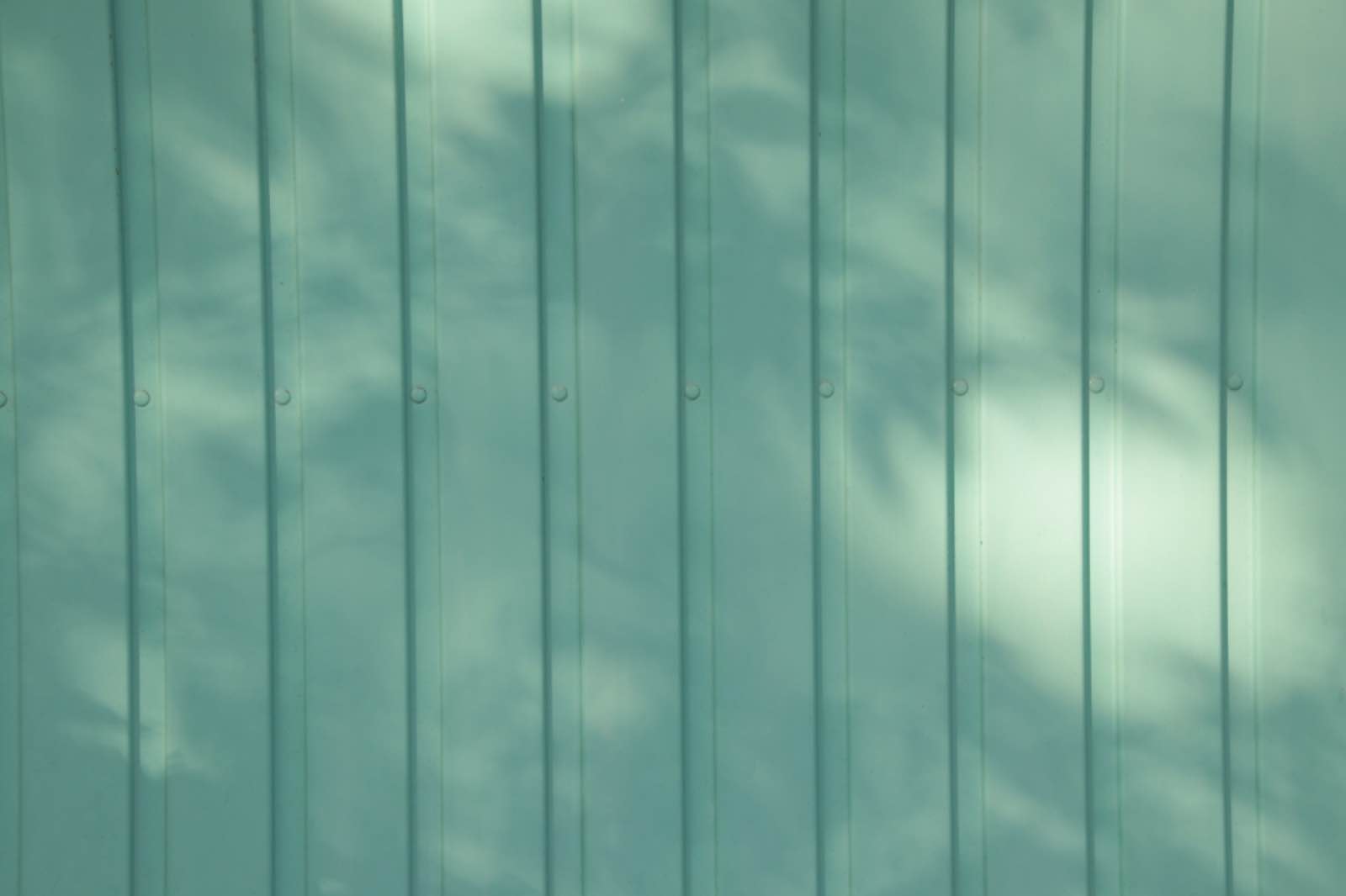 Summer sun is shining its rays on wooden panel